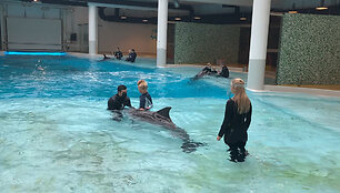 delfinariumas