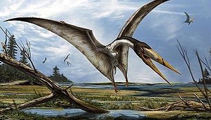 Pterozauro iliustracija