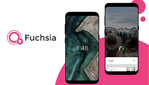 Google Fuchsia PS