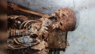Palaikai buvo saugomi užantspauduotoje kameroje Pompėjos kapinėse. Nors kūnui beveik 2000 metų, ant kaukolės vis dar matomi nukirpti plaukai ir ausis. 