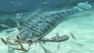 Jūros skorpiono iliustracija