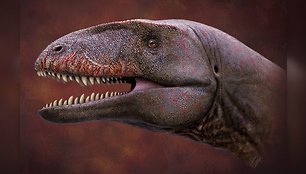 Dinozauro Ulughbegsaurus uzbekistanensis, gyvenusio dabartinio Uzbekistano teritorijoje maždaug prieš 90 mln. metų, iliustracija.