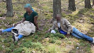 Pasienyje sulaikyti migrantai