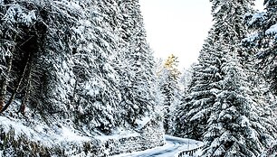 WRC organizatorių &bdquo;facebook&ldquo; puslapyje patalpinta nuotr.