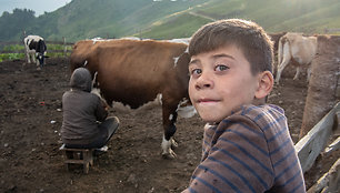 Pada stovi savo kieme Kaukazo Kalnuose, už jo nugaros mama melžia karves,2022 m. Liepos 31 d. 