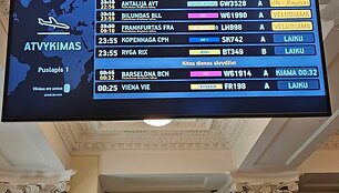 Vilniaus oro uoste sustabdyti skrydžiai
