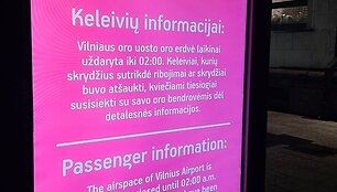 Vilniaus oro uoste sustabdyti skrydžiai
