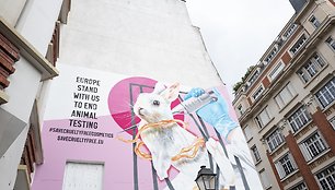 The Body Shop ir Dove inicijuota meninė akcija Paryžiuje