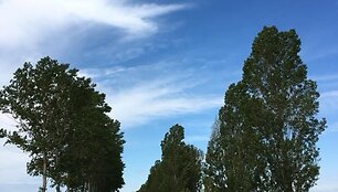 Idos kelionė &bdquo;Camino de Santiago&ldquo; keliu