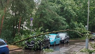 Vilniuje dėl liūties virsta medžiai