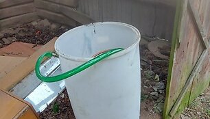 Rasta &bdquo;naminukė&ldquo;