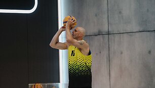 Hibridinis krep&scaron;ins