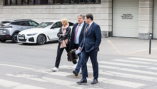 Vaidotas Sviderskis, Remigijus Žemaitaitis
