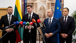 Virginijus Sinkevičius, Mindaugas Sinkevičius, Aurelijus Veryga, Valdemaras Toma&scaron;evskis
