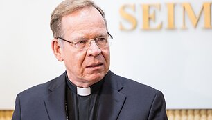 Komentarai po Juozo Oleko ir Gintaro Gru&scaron;o susitikimo
