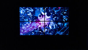 Paroda &bdquo;Rave Nation&ldquo;