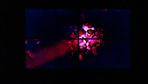 Paroda &bdquo;Rave Nation&ldquo;