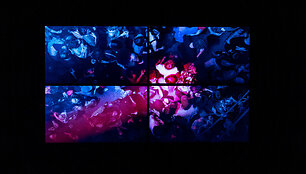 Paroda &bdquo;Rave Nation&ldquo;