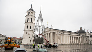 Katedros aik&scaron;tėje pradėta statyti Vilniaus Kalėdų eglė