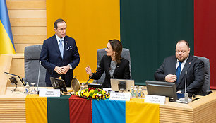 Tomaszas Grodzkis, Viktorija Čmilytė-Nielsen, Ruslanas Stefančiukas