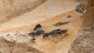 Verkių dvarvietėje pristatomas archeologinis atradimas &ndash; aptikti XIII&ndash;XIV amžių kapai