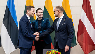 Hanno Pevkuras, Dovilė &Scaron;akalienė, Andris Sprūdas