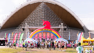 „The Color Run“ bėgimas