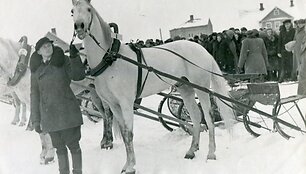 Sartų žirgų lenktynės