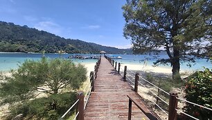 Borneo sala