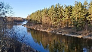 Neris nuo Balingrado (Punžionių) tilto