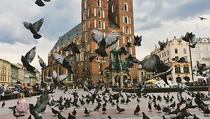 Krokuva, Turgaus aik&scaron;tė