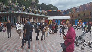 Batu urvai