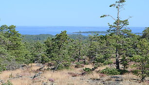 Alandų salos