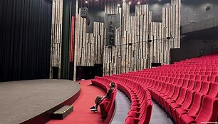 Gali pasijusti vieninteliu žiūrovu festivalio salėje