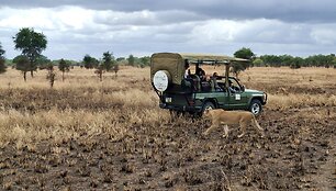Mikumio nacionalinis parkas, Tanzanija