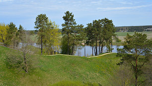 Sudargo piliakalniai (Šakių r.)