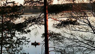&bdquo;Molėtai Tree House&ldquo;