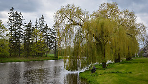 Pajiešmenių parkas (Pasvalio r.)