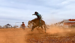 Rodeo Vait Klifse, Pietų Australija