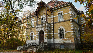 Vyžulionių dvaro rūmai (Vilniaus r.)