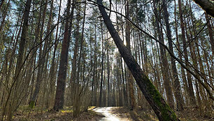 100 km takas aplink Vilnių