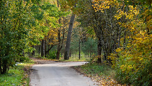 Bubių istorinis pažintinis takas