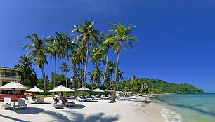 Vietnamas