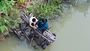Vietnamas