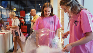 Vilniaus &Scaron;altibar&scaron;čių festivalis (&bdquo;Vilnius Pink Soup Fest&ldquo;)