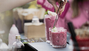 Vilniaus &Scaron;altibar&scaron;čių festivalis (&bdquo;Vilnius Pink Soup Fest&ldquo;)