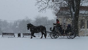 Edukacija „Kalėdiniai burtai Kelmės dvaro rūsių prietemoje“