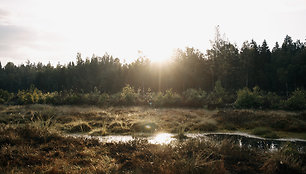 Užpelkių aukštapelkė