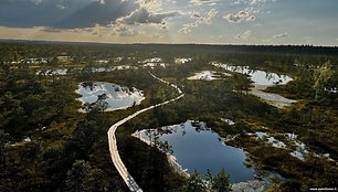 Užbūrė šie vakarinės pelkės vaizdai