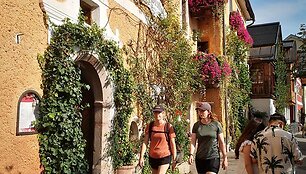 Turistus Hal&scaron;tate žavi ne tik idili&scaron;kas gamtos peizažas, bet ir autenti&scaron;ki XVI a. namai